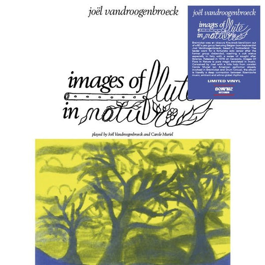 Joel Vandroogenbroeck - Images Of Flute In Nature (LP) - Joco Records