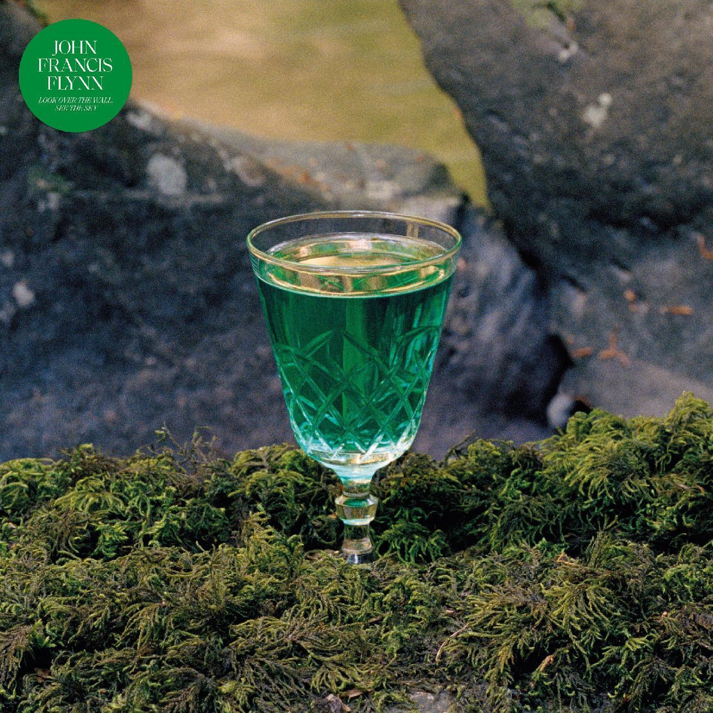 John Francis Flynn - Look Over The Wall, See The Sky (LP) - Joco Records