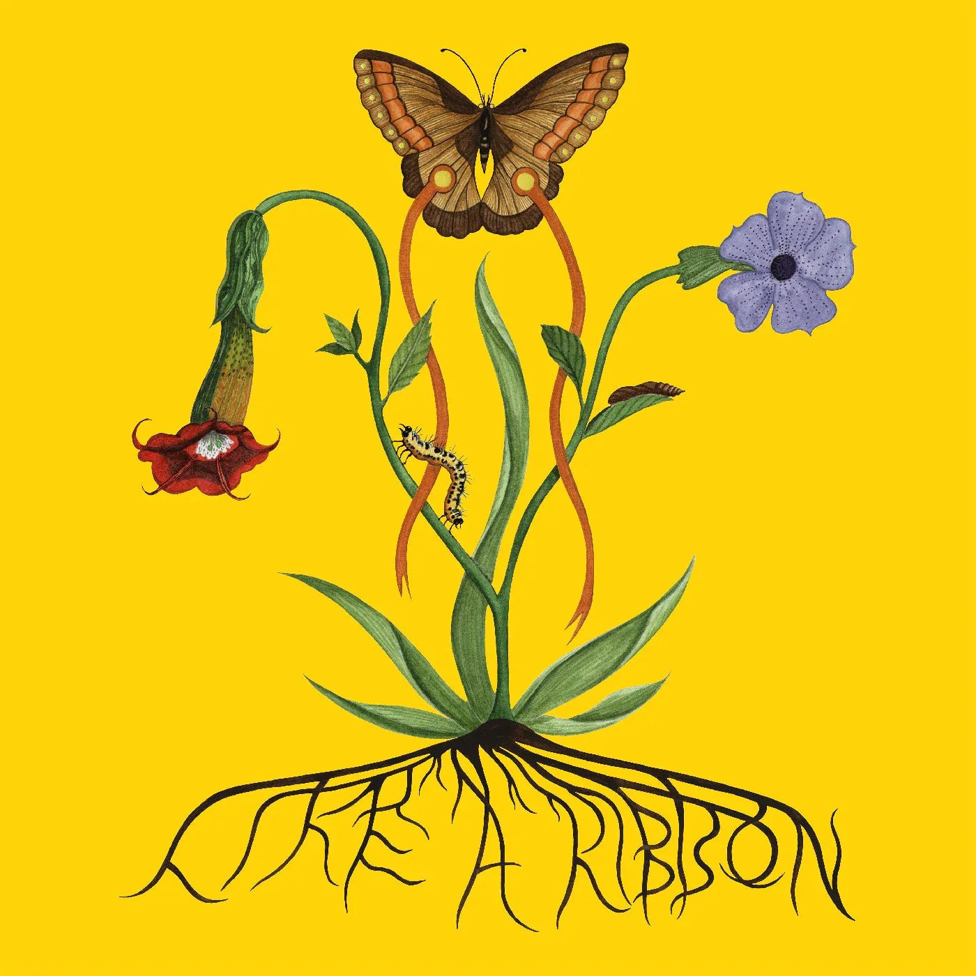 John Glacier - Like A Ribbon (LP) - Joco Records