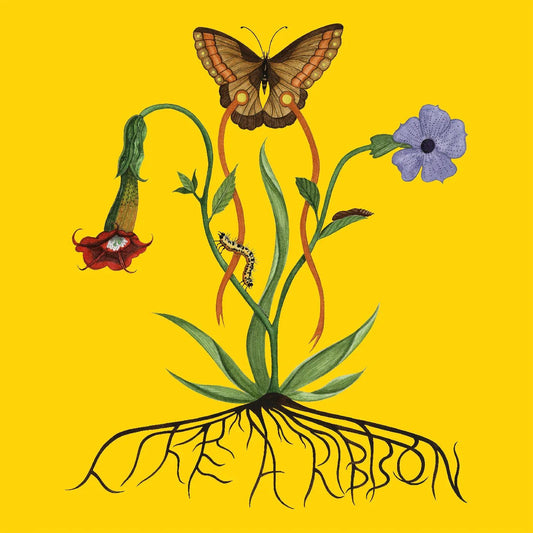 John Glacier - Like A Ribbon (LP) - Joco Records
