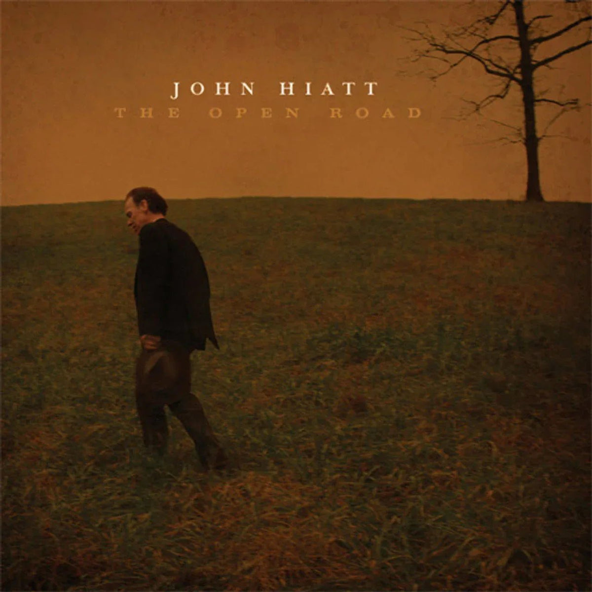 John Hiatt - The Open Road (180 Gram) (2 LP) - Joco Records