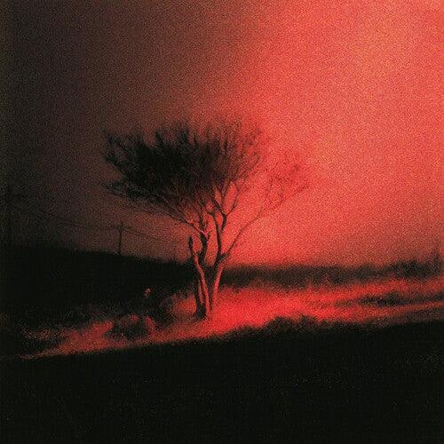 Joji - Piss In The Wind (Explicit Content) (Vinyl) - Joco Records
