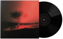 Joji - Piss In The Wind (Explicit Content) (Vinyl) - Joco Records
