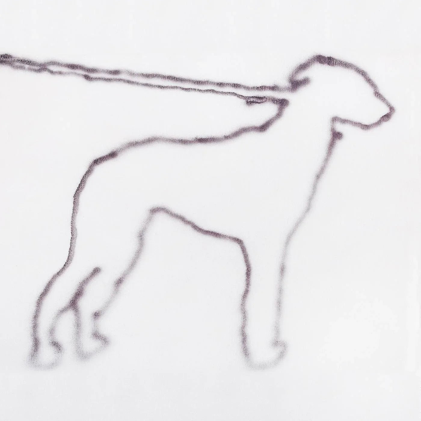 Jonah Yano - Portrait Of A Dog (2 LP) - Joco Records