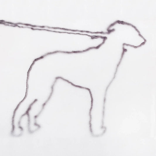 Jonah Yano - Portrait Of A Dog (2 LP) - Joco Records