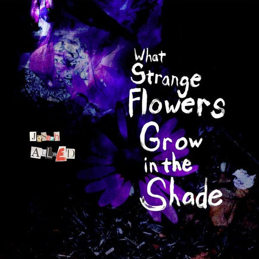 Joseph Allred - What Strange Flowers Grow In The Shade (LP) - Joco Records
