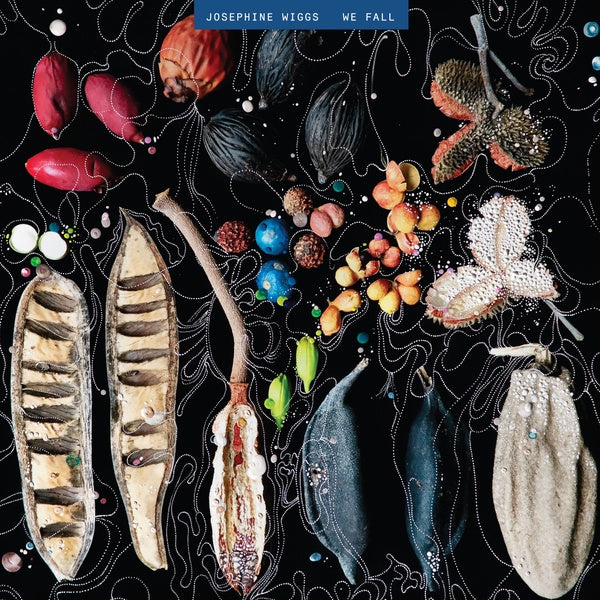 JOSEPHINE WIGGS - We Fall