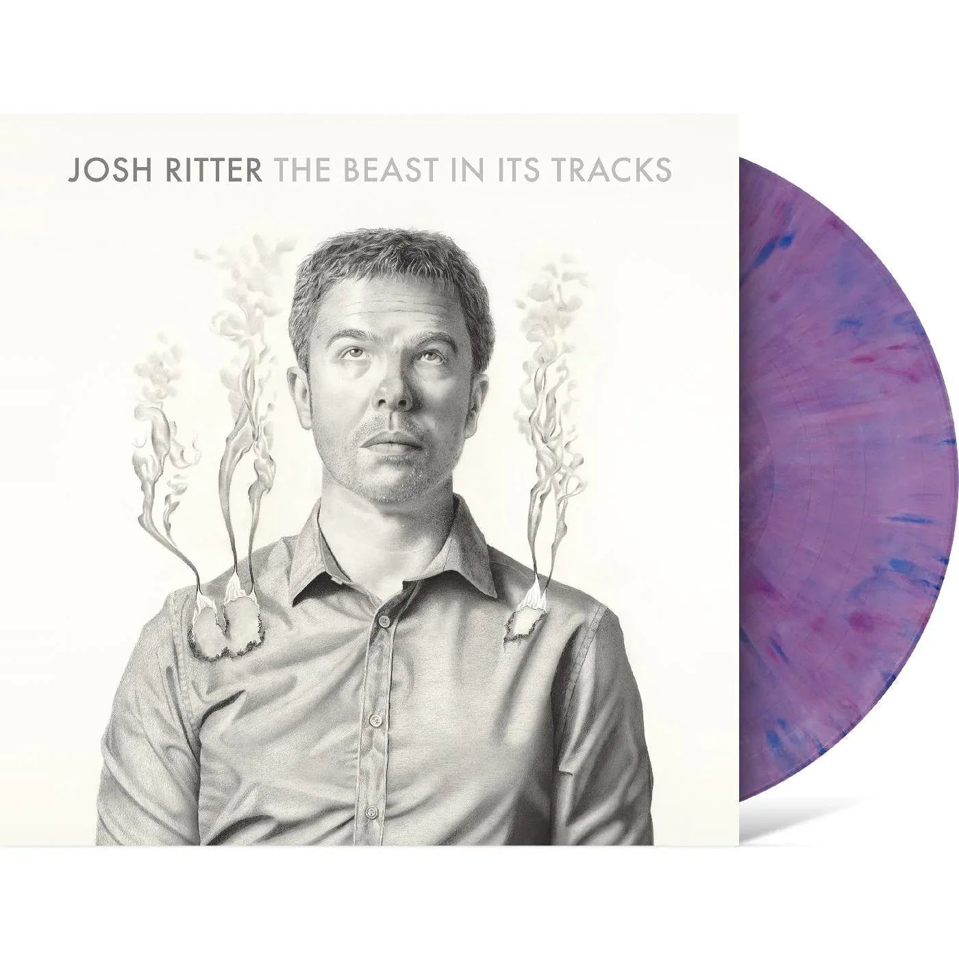 Josh Ritter - The Beast In Its Tracks (Purple Rain Vinyl) (LP) - Joco Records