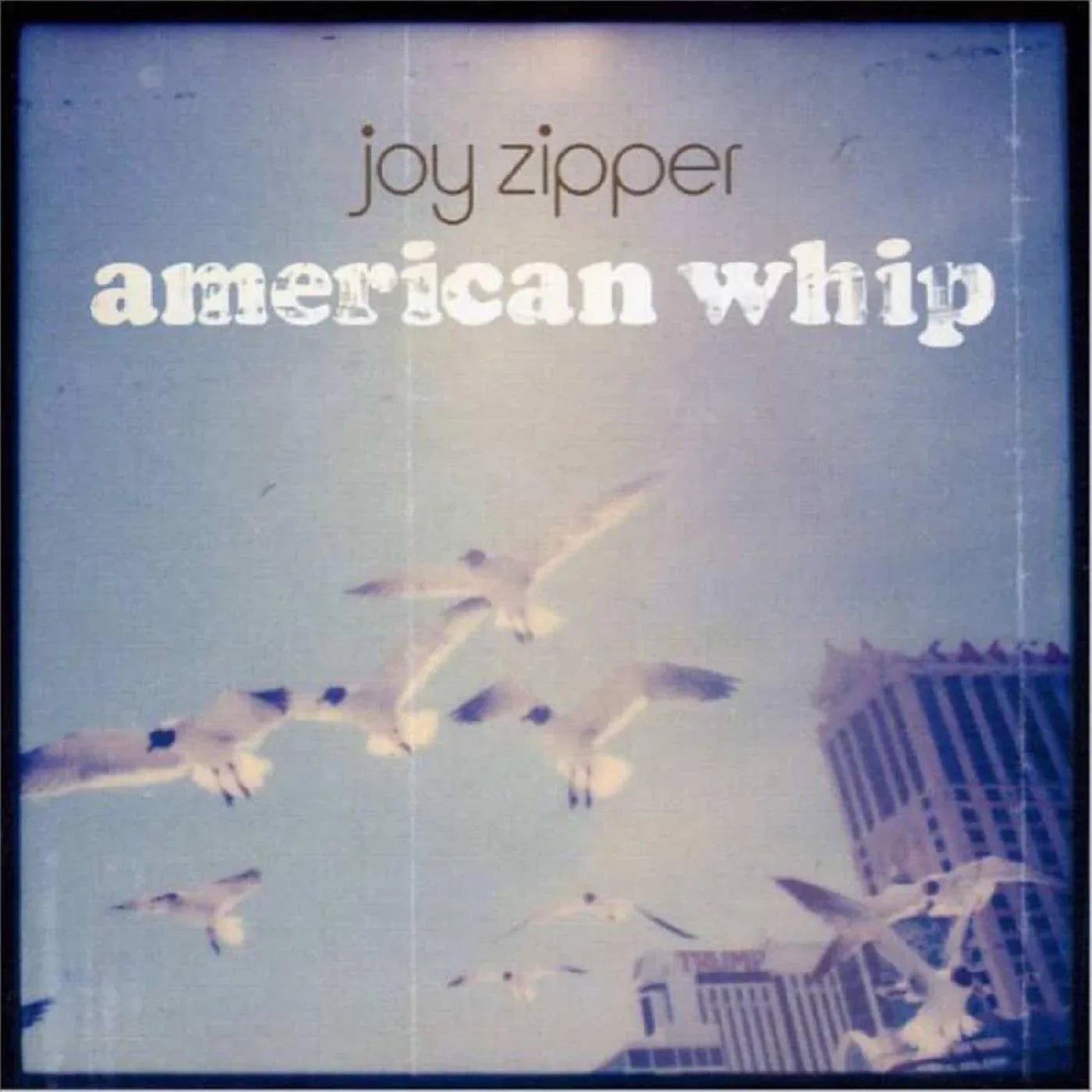 Joy Zipper - American Whip (Blue Vinyl) (LP) - Joco Records