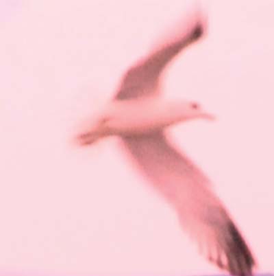 Julia Holter - Maria/2hb (12 - Inch Vinyl) - Joco Records