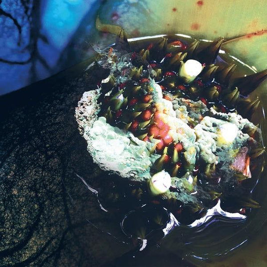 Julia Reidy - In Real Life (LP) - Joco Records