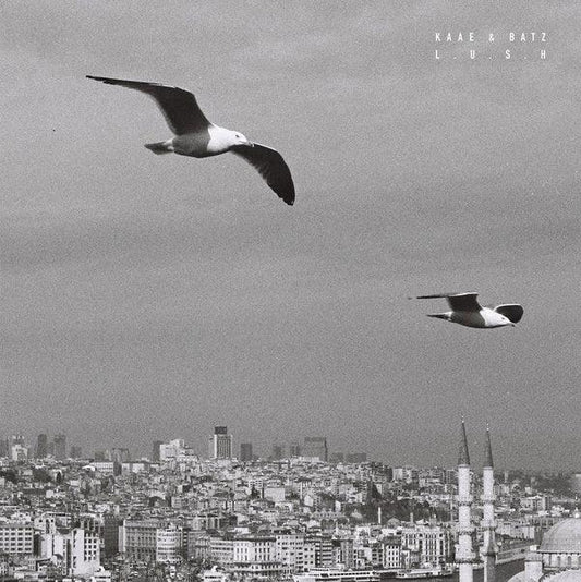Kaae & Batz - Lush (LP) - Joco Records