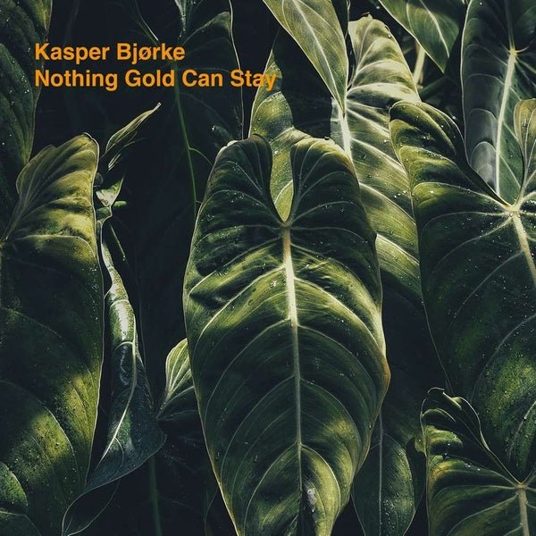 Kasper Bjorke - Nothing Gold Can Stay (LP) - Joco Records