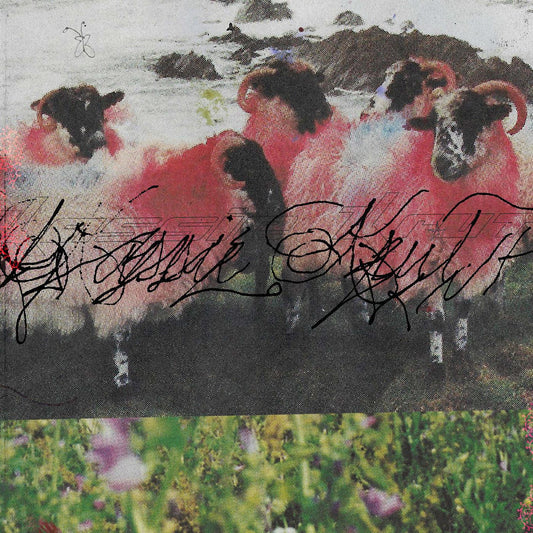 Kassie Krut - Kassie Krut (Deluxe Edition) (LP) - Joco Records