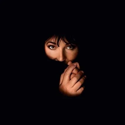 Kate Bush - Remastered In Vinyl IV (Box Set) (4 LP) - Joco Records