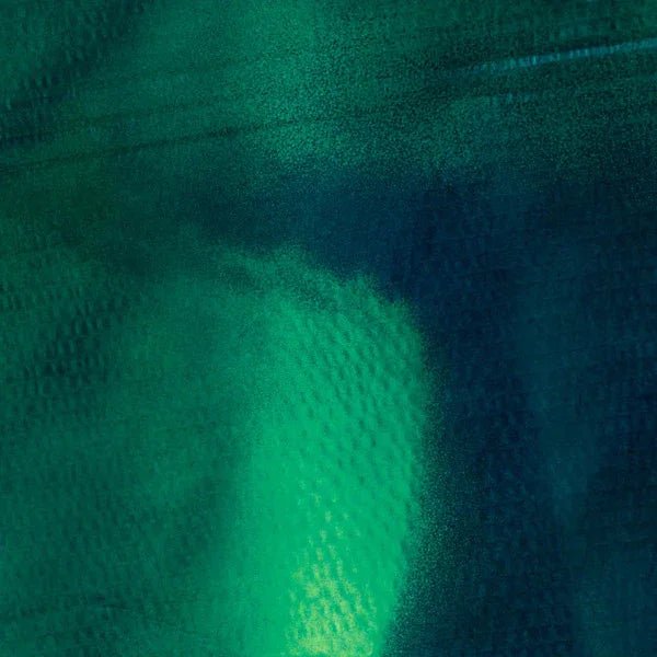 Katharina Grosse & Stefan Schneider - Tiergarten (LP) - Joco Records