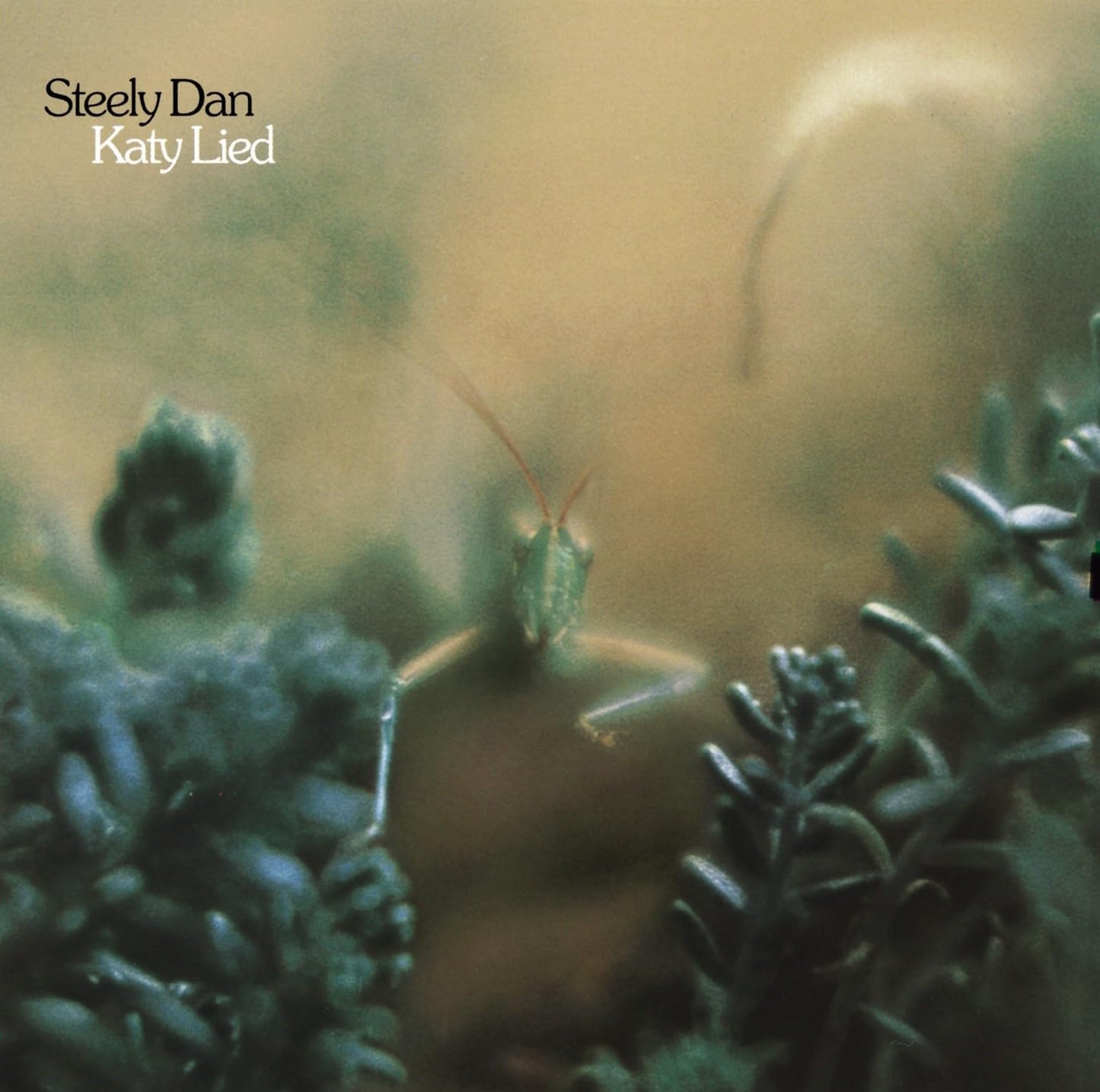Steely Dan - Katy Lied (Remastered, 180 Gram) (LP)