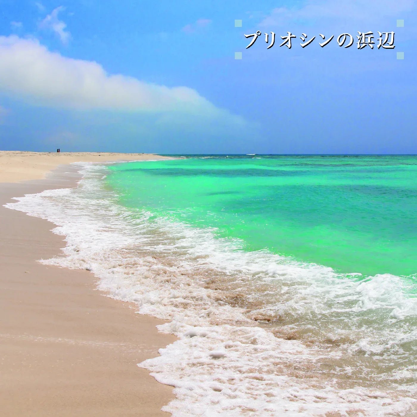 Ken-Ichiro Isoda - Beach Of The Pliocene (2 LP) - Joco Records