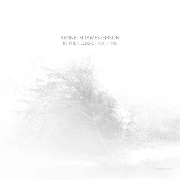 Kenneth James Gibson - In The Fields Of Nothing (LP) - Joco Records