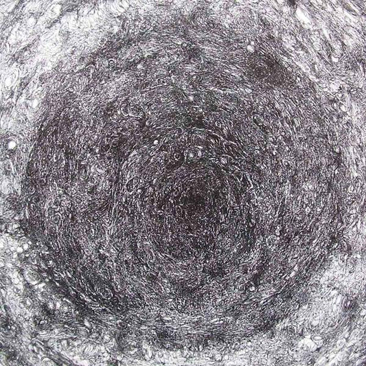 Kevin Drumm - The Back Room