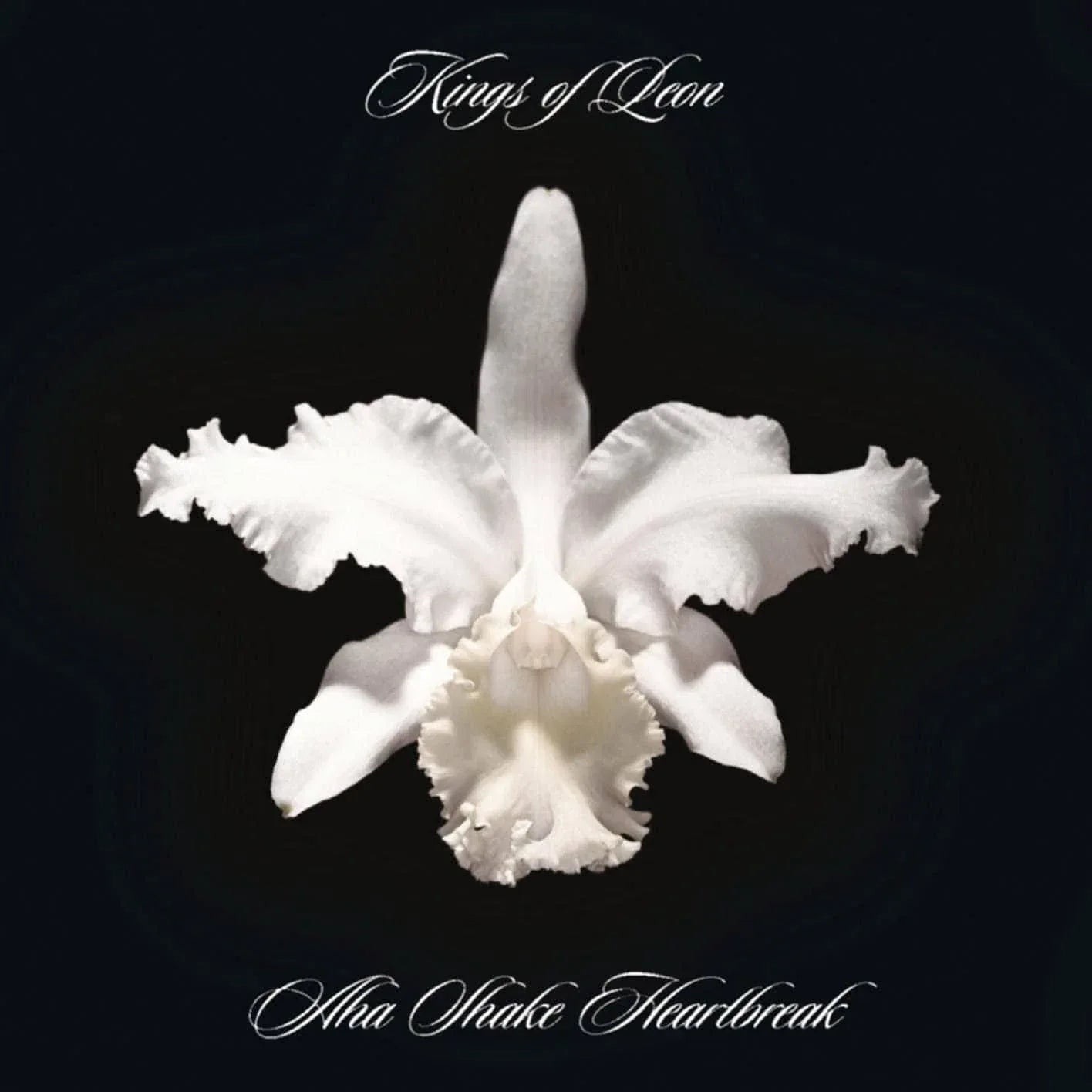 Kings Of Leon - Aha Shake Heartbreak (Limited Import, Gatefold, 180 Gram) (2 LP) - Joco Records