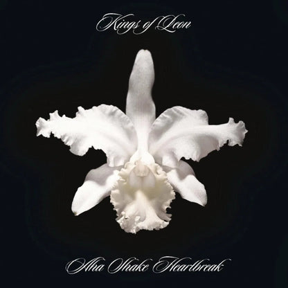 Kings Of Leon - Aha Shake Heartbreak (Limited Import, Gatefold, 180 Gram) (2 LP) - Joco Records