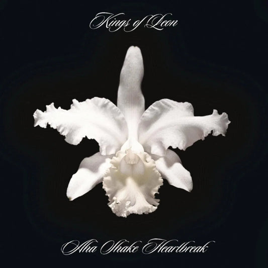 Kings Of Leon - Aha Shake Heartbreak (Limited Import, Gatefold, 180 Gram) (2 LP) - Joco Records