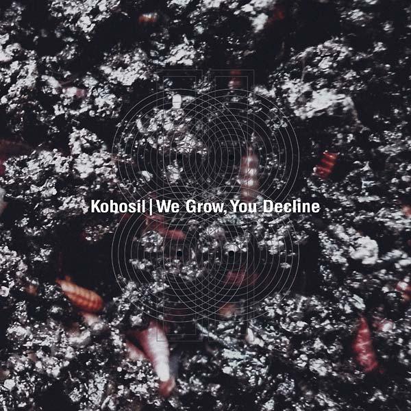 Kobosil - We Grow, You Decline (2 LP) - Joco Records