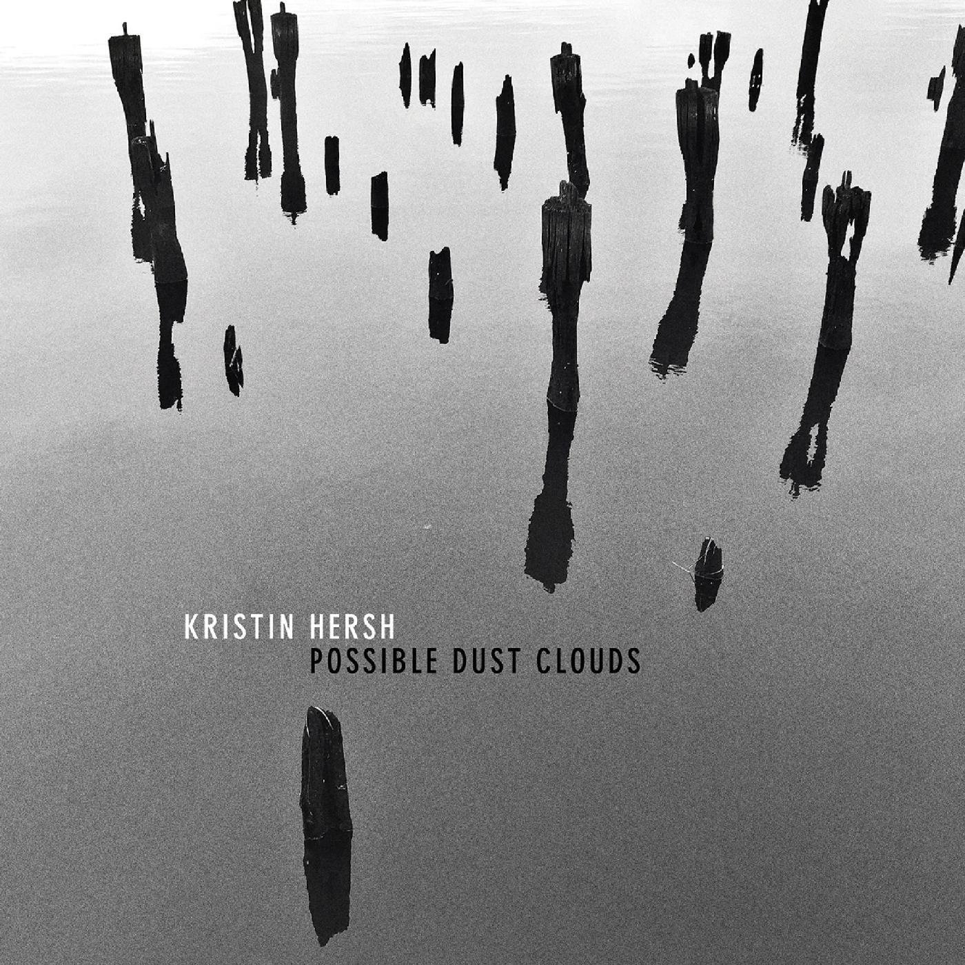 Kristin Hersh - Possible Dust Clouds (LP) - Joco Records