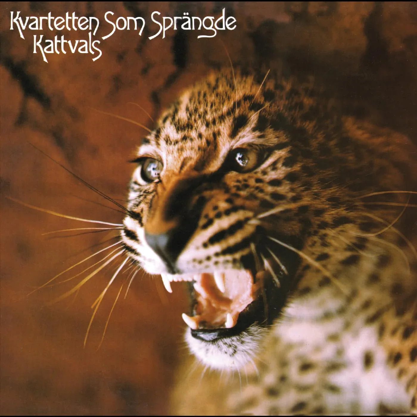 Kvartetten Som Sprängde – Kattvals (Deluxe Edition, Psychedelic Splatter Vinyl) - Joco Records