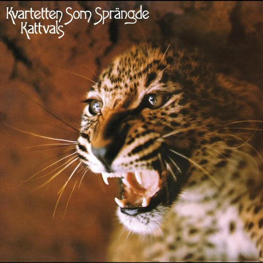Kvartetten Som Sprängde – Kattvals (Deluxe Edition, Psychedelic Splatter Vinyl) - Joco Records