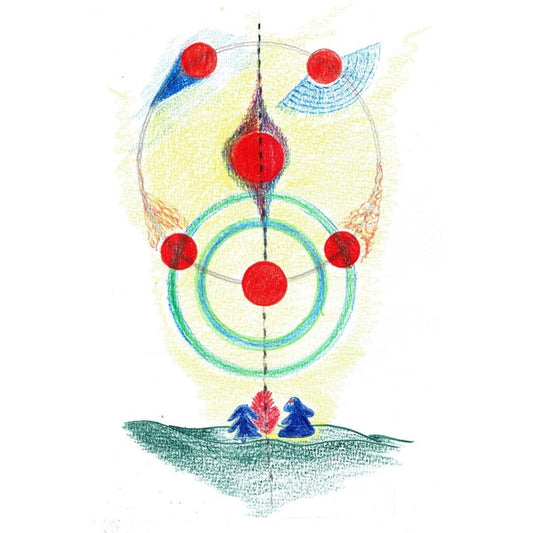 La Festa Delle Rane - Il Lago E Il Cielo Del Bosco E Tutte Le Rane Cantano In Coro (LP)