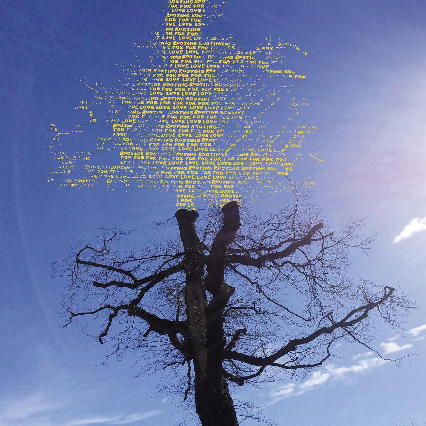 Laetitia Sadier - Rooting For Love (LP) - Joco Records