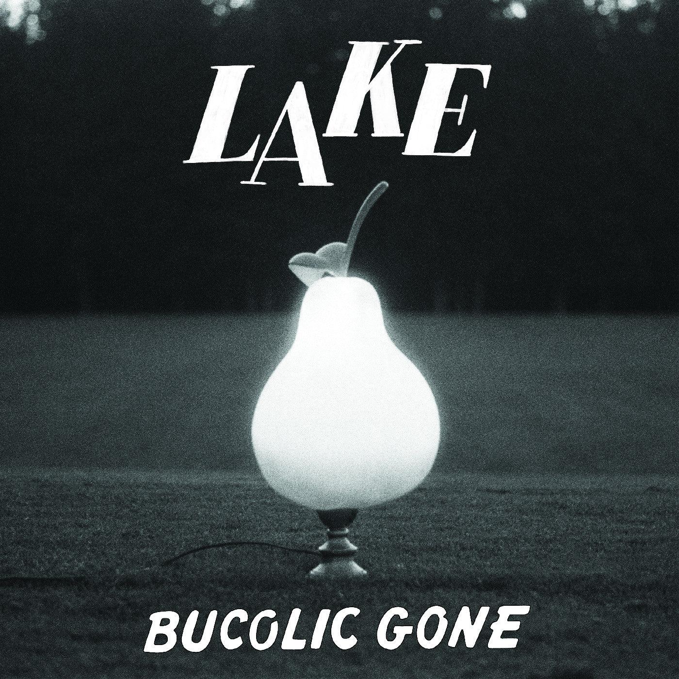 LAKE - Bucolic Gone (Baby Blue Vinyl) (LP) - Joco Records