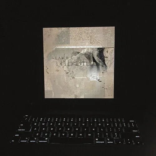 Lambchop - The Bible (Yellow & Black Marbled Vinyl, Indie Exclusive, 2 LP) - Joco Records
