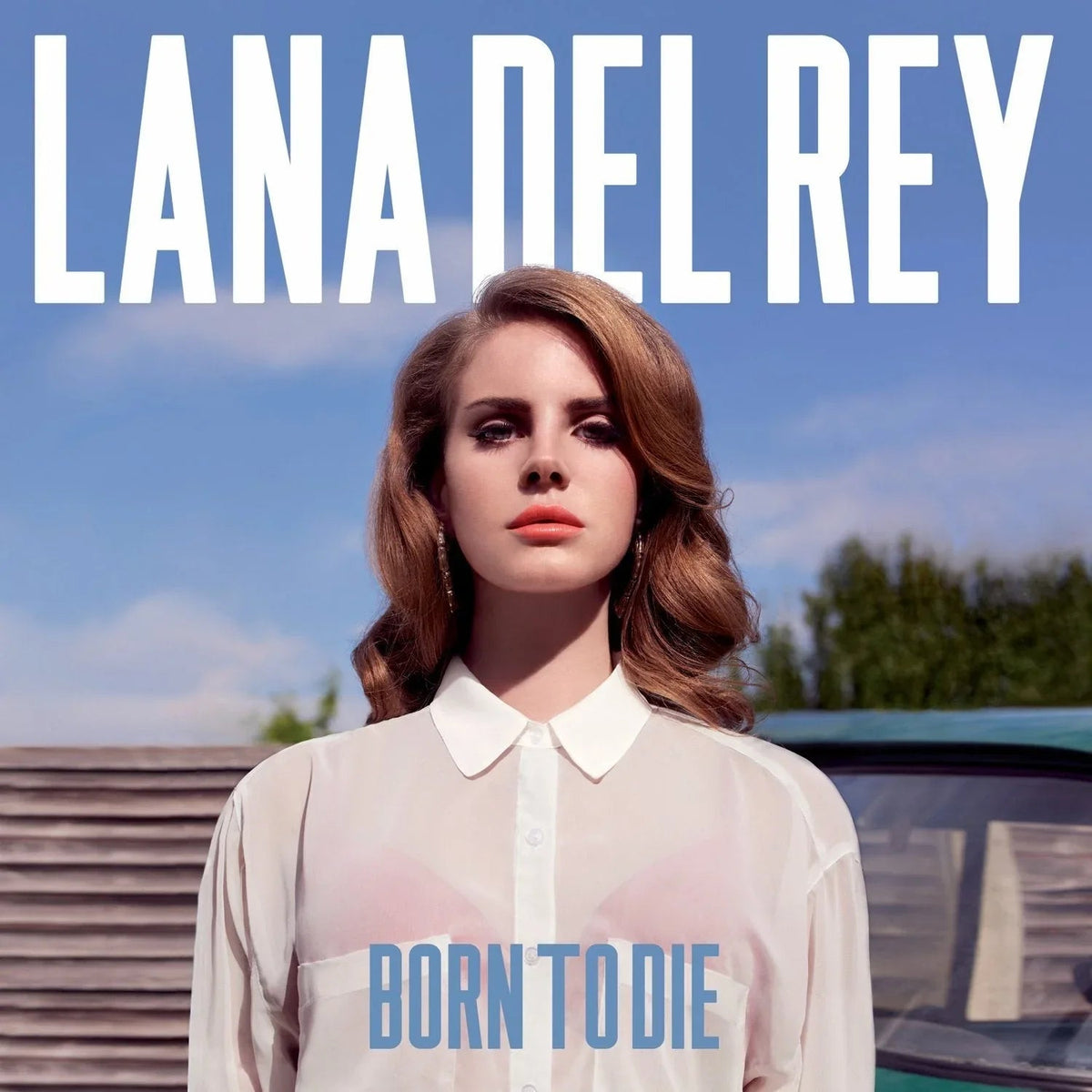 Lana Del Rey - Born To Die (LP) - Joco Records
