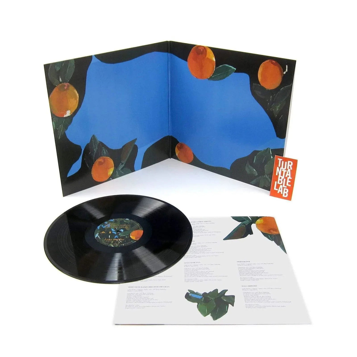 Lana Del Rey - Violet Bent Backwards Over The Grass (Gatefold, 180 Gram) (LP) - Joco Records