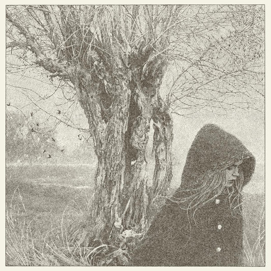 Lankum - Between The Earth And Sky (2 LP) - Joco Records