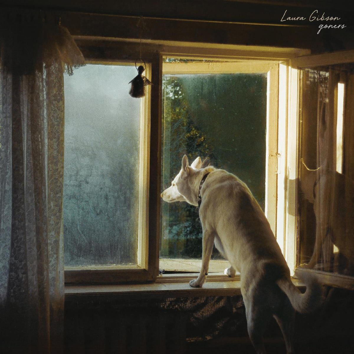 Laura Gibson - Goners (LP) - Joco Records