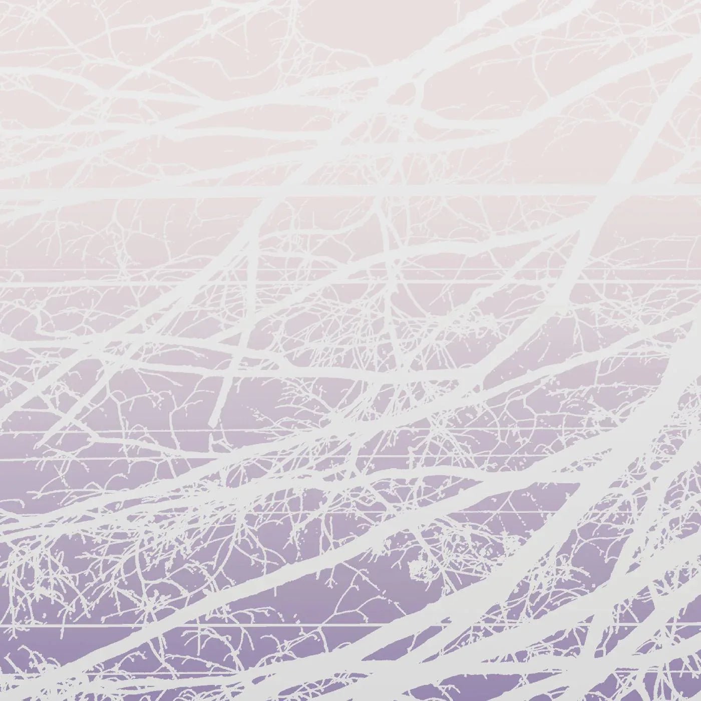 Lea Bertucci - Metal Aether / Resonant Field (2 LP) - Joco Records