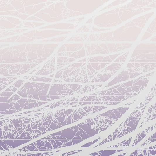 Lea Bertucci - Metal Aether / Resonant Field (2 LP) - Joco Records