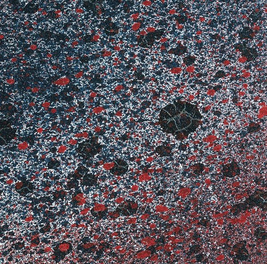 Leitmotiv Limbo - Superior State (Lp) - Joco Records