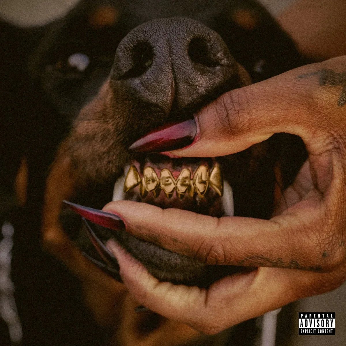 Leon Thomas - Mutt Deluxe: Heel (Translucent Ruby 2 LP) (2 LP) - Joco Records