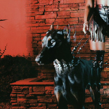 Leon Thomas - Mutt (Limited Edition, Black Ice Vinyl) (LP) - Joco Records