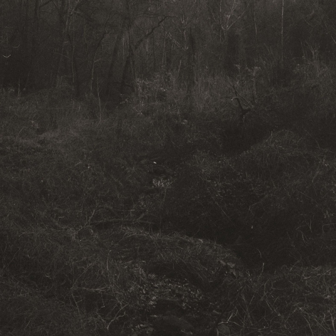 Lesley Mok - Transient (Vinyl) - Joco Records