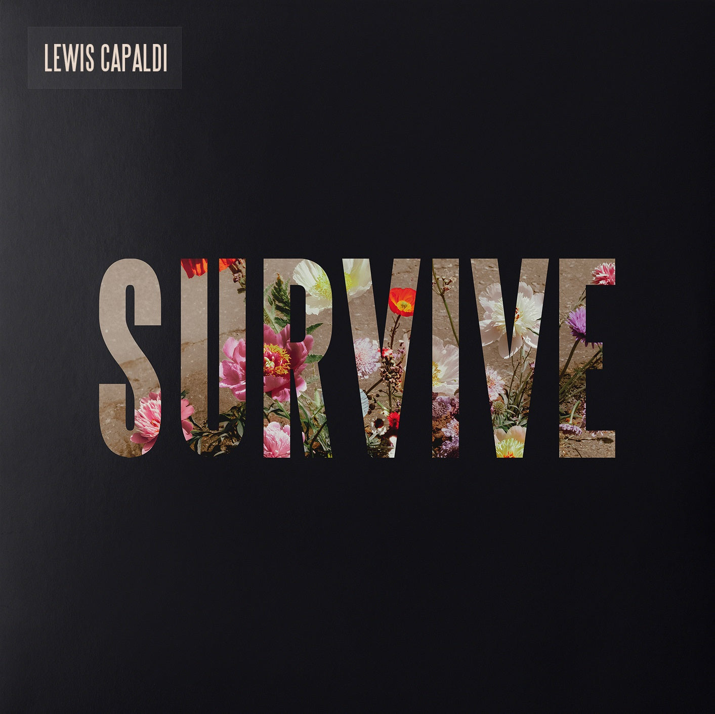 Lewis Capaldi - Survive (Clear 12" EP)