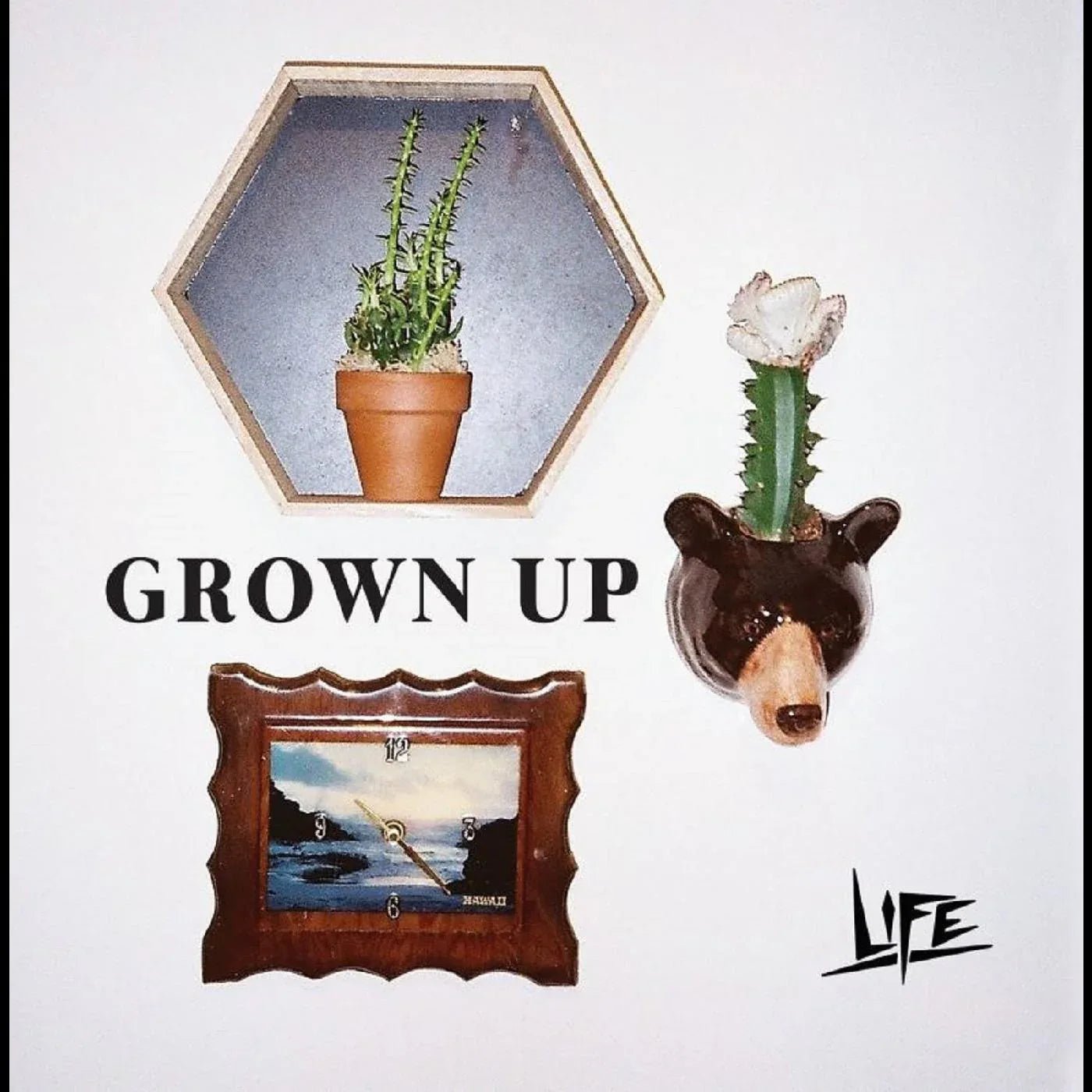 Life - Grown Up (7-Inch Single) - Joco Records
