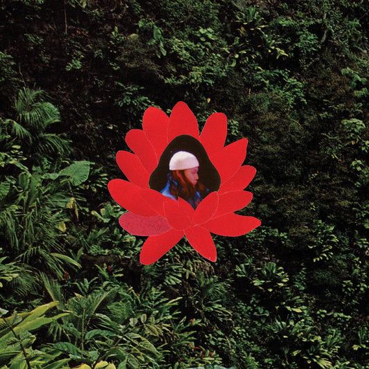 Lionmilk - When The Flowers Bloom (LP) - Joco Records