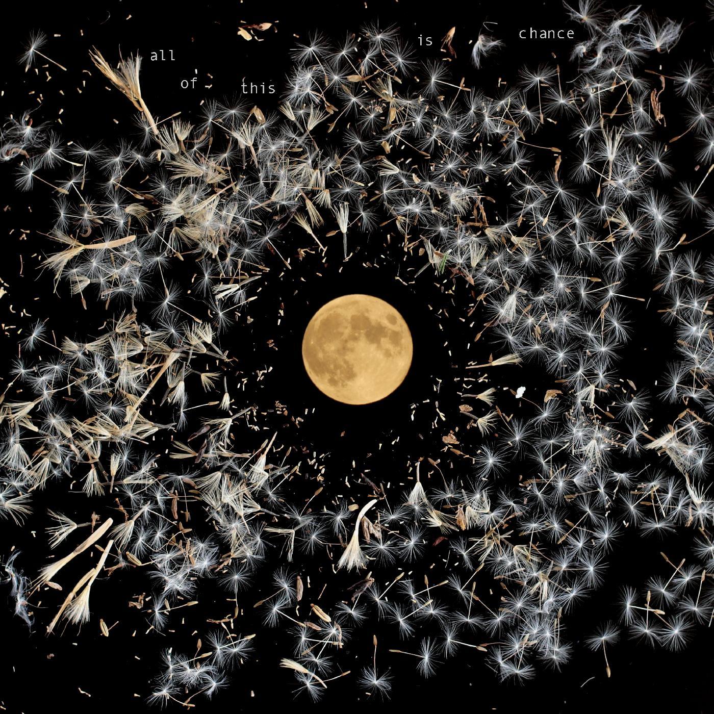 Lisa O'Neill - All Of This Is Chance (LP) - Joco Records