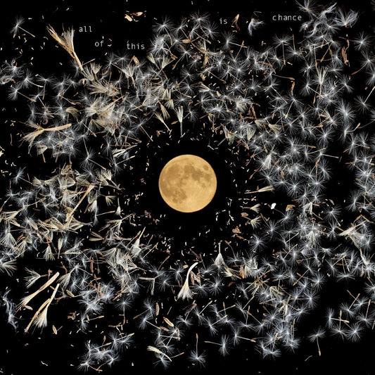 Lisa O'Neill - All Of This Is Chance (LP) - Joco Records